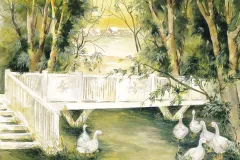 135_duck_pond.jpg.webp