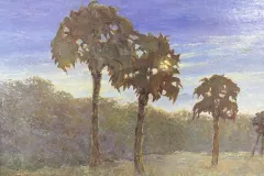 2_Pale_MoonPalms.jpg.webp