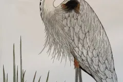 BlueHeron.jpg.webp