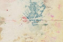 dima-wuks-XH7lJb4xQAs-unsplash
