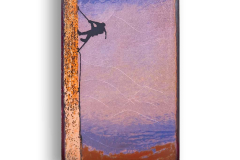 Leap