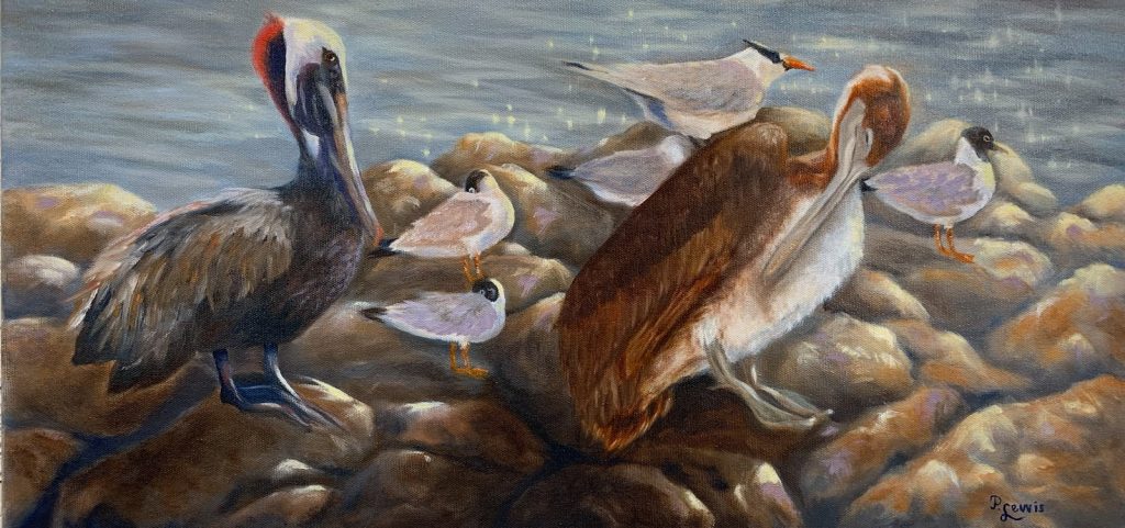 "Pelican, Gulls & Terns" by Penny Lewis